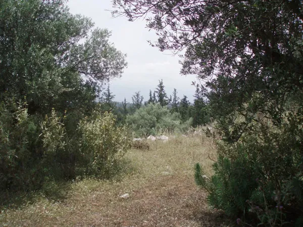 7,171 m² Plot of Land for Sale in Kefalas, Apokoronas — photo 2