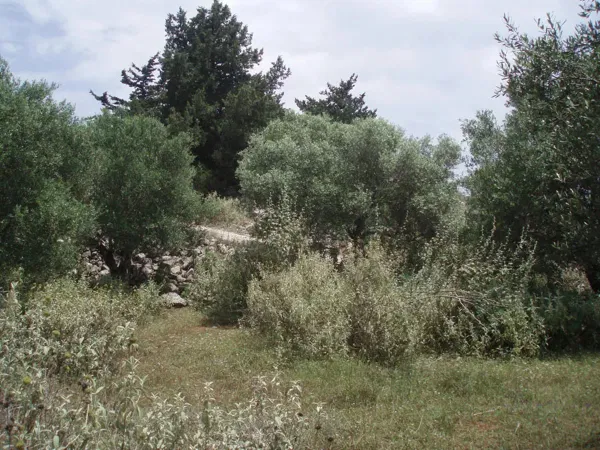 7,171 m² Plot of Land for Sale in Kefalas, Apokoronas — photo 3
