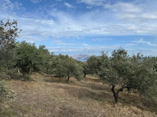 Sea-View 16,633 m² Plot for Sale in Kasteli Kissamos, Kissamos — photo 5