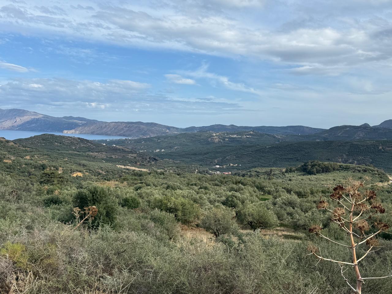 Sea-View 16,633 m² Plot for Sale in Kasteli Kissamos, Kissamos