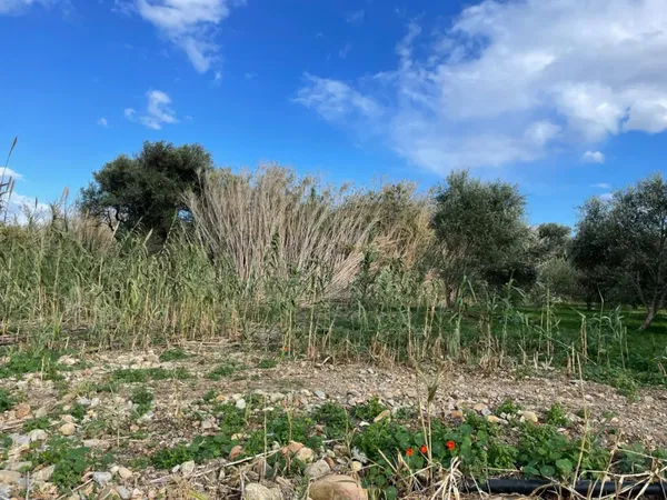 1,007 m² Plot for Sale in Gerani, Platanias — photo 3