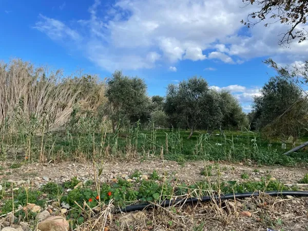 1,007 m² Plot for Sale in Gerani, Platanias — photo 2