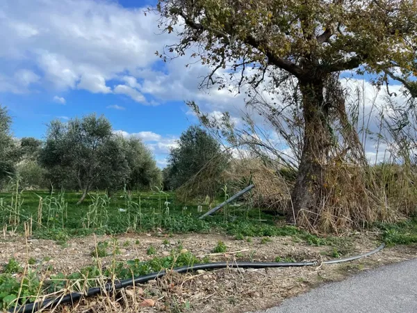 1,007 m² Plot for Sale in Gerani, Platanias
