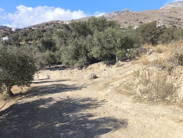 3,100 m² Land for Sale in Plakias, Agios Vassilios — photo 3