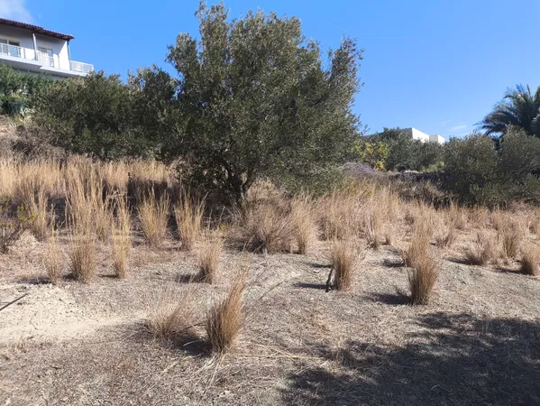 3,100 m² Land for Sale in Plakias, Agios Vassilios