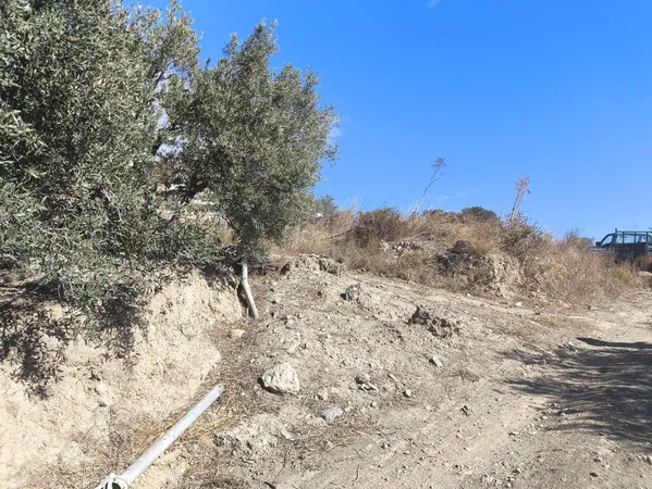 3,100 m² Land for Sale in Plakias, Agios Vassilios — photo 4