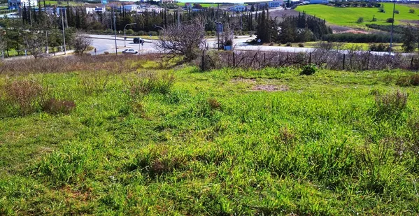 Seafront 5,381 m² Plot of Land for Sale in Halkidiki — photo 3
