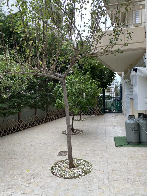 Four-Bedroom Renovated Apartment for Rent in Vyronas, Athens Eastern Suburbs — photo 2