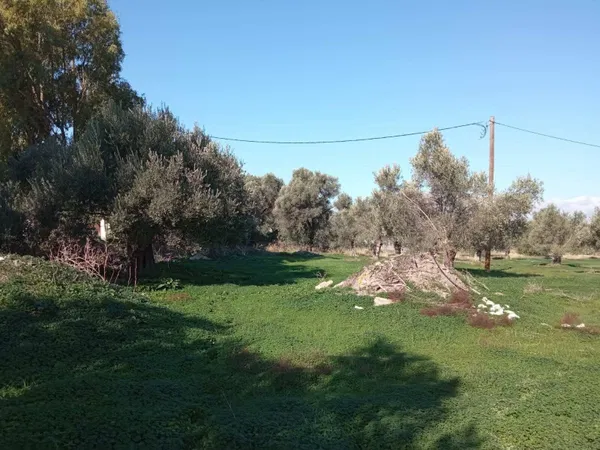 Seafront 14,000 m² Plot of Land for Sale in Tympaki, Faistos — photo 5