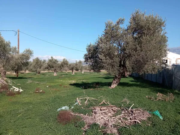Seafront 14,000 m² Plot of Land for Sale in Tympaki, Faistos — photo 4