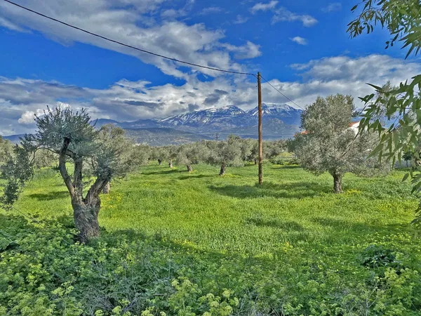 Seafront 14,000 m² Plot of Land for Sale in Tympaki, Faistos