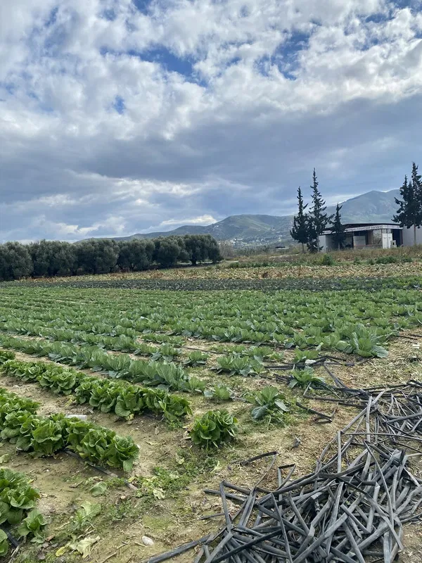 4,000 m² Land for Sale in Heraklion — photo 2