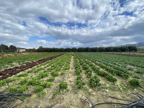4,000 m² Land for Sale in Heraklion