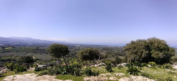 60,000 m² Plot for Sale in Rethymnon — photo 4