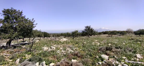 60,000 m² Plot for Sale in Rethymnon — photo 2