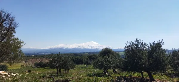 60,000 m² Plot for Sale in Rethymnon — photo 5