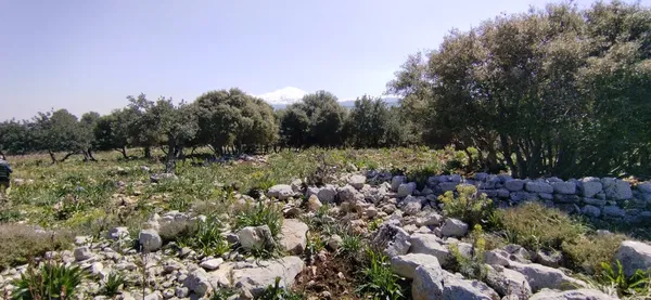 60,000 m² Plot for Sale in Rethymnon — photo 3