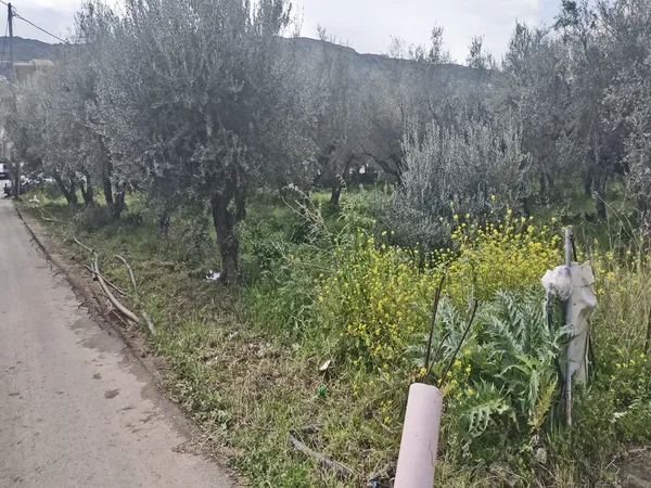 2,000 m² Land for Sale in Nerokourou, Chania — photo 2