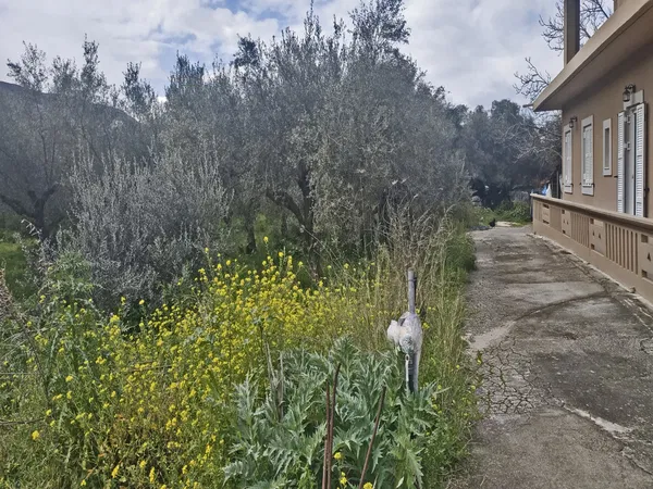 2,000 m² Land for Sale in Nerokourou, Chania — photo 5