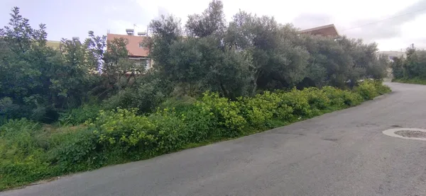 Sea-View 595 m² Plot of Land for Sale in Kounoupidiana, Akrotiri — photo 2