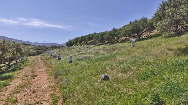 Sea-View 4,300 m² Plot of Land for Sale in Kasteli Kissamos, Kissamos — photo 2