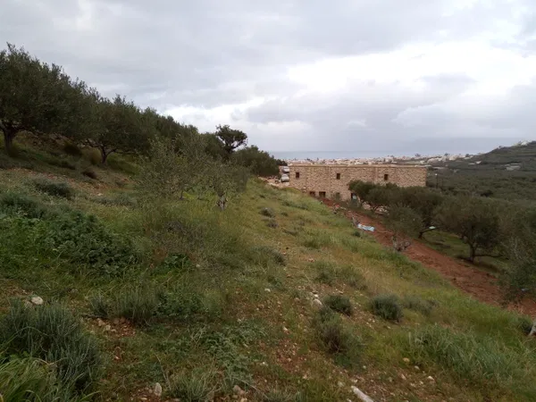 Sea-View 4,300 m² Plot of Land for Sale in Kasteli Kissamos, Kissamos