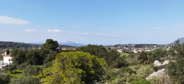 11,166 m² Land for Sale in Vamos, Apokoronas — photo 3