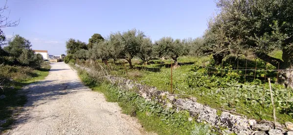 11,166 m² Land for Sale in Vamos, Apokoronas — photo 2