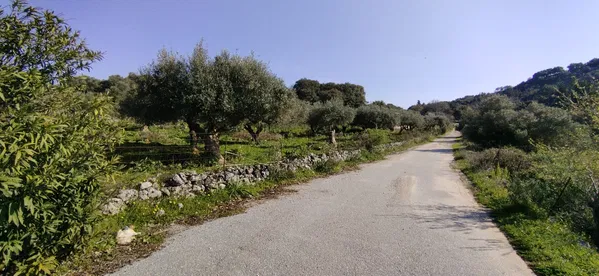 11,166 m² Land for Sale in Vamos, Apokoronas
