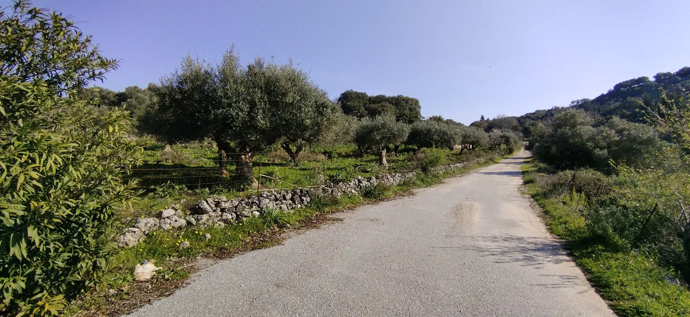 11,166 m² Land for Sale in Vamos, Apokoronas
