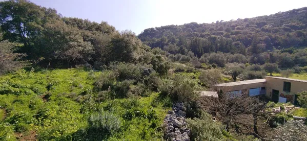 11,166 m² Land for Sale in Vamos, Apokoronas — photo 5