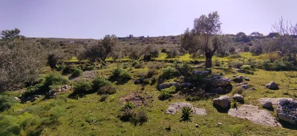 Sea-View 4,989 m² Plot for Sale in Agia Paraskevi Rethymnon, Amari — photo 3