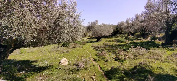Sea-View 4,989 m² Plot for Sale in Agia Paraskevi Rethymnon, Amari — photo 5