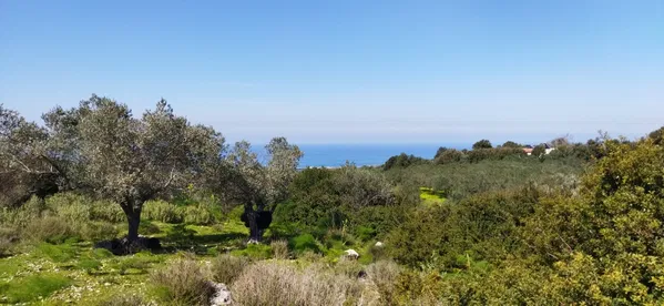Sea-View 4,989 m² Plot for Sale in Agia Paraskevi Rethymnon, Amari