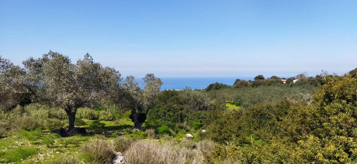 Sea-View 4,989 m² Plot for Sale in Agia Paraskevi Rethymnon, Amari