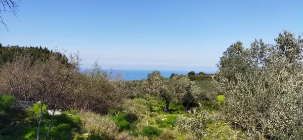 Sea-View 4,989 m² Plot for Sale in Agia Paraskevi Rethymnon, Amari — photo 2