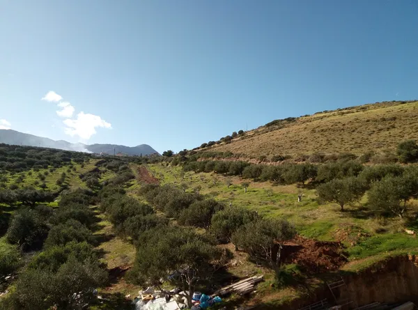 Sea-View 5,200 m² Land for Sale in Kasteli Kissamos, Kissamos — photo 2