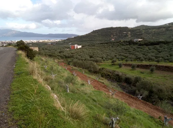 Sea-View 5,200 m² Land for Sale in Kasteli Kissamos, Kissamos