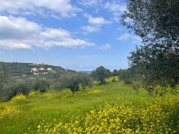 Seafront 13,000 m² Land for Sale in Kera, Apokoronas — photo 3