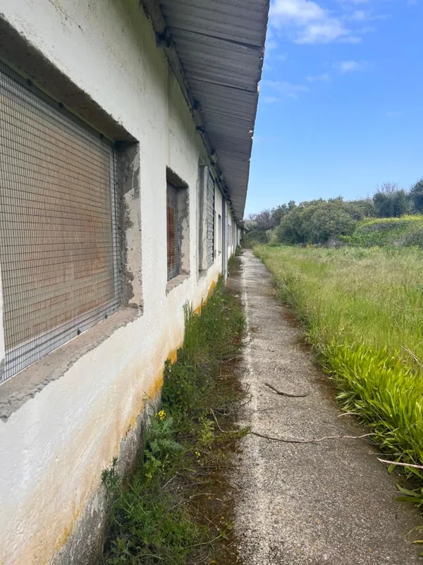 Seafront 13,000 m² Land for Sale in Kera, Apokoronas — photo 5