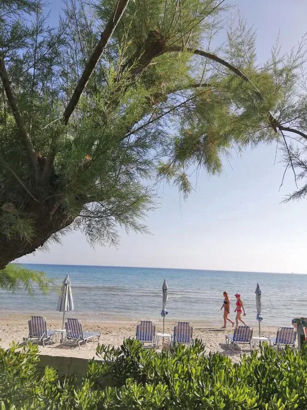 Renovated Hotel for Sale in Zakynthos, Ionian Islands — photo 3