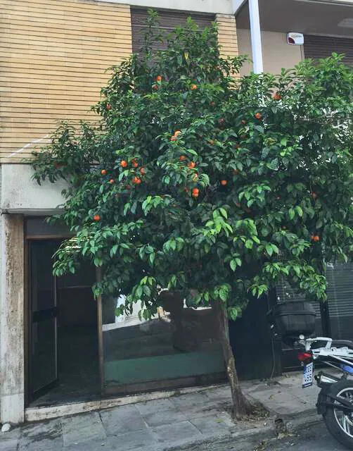 Business for Sale in Kolonaki - Lycabettus, Athens Center — photo 2