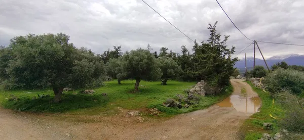 Seafront 2,400 m² Land for Sale in Mouri, Apokoronas — photo 2