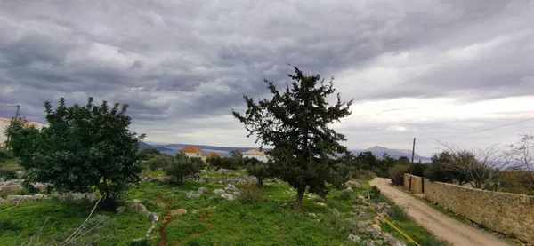 Seafront 2,400 m² Land for Sale in Mouri, Apokoronas