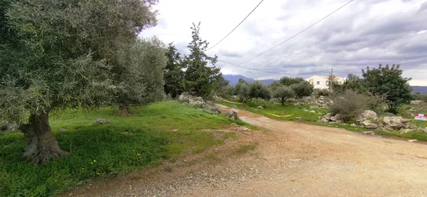 Seafront 2,400 m² Land for Sale in Mouri, Apokoronas — photo 4