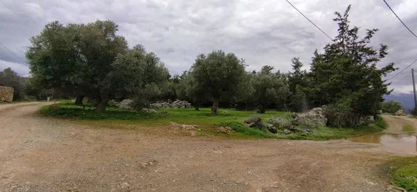 Seafront 2,400 m² Land for Sale in Mouri, Apokoronas — photo 3