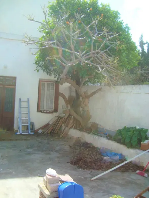 80 m² Villa with Two Bedrooms for Sale in Rhodes, Dodecanese Islands — photo 3