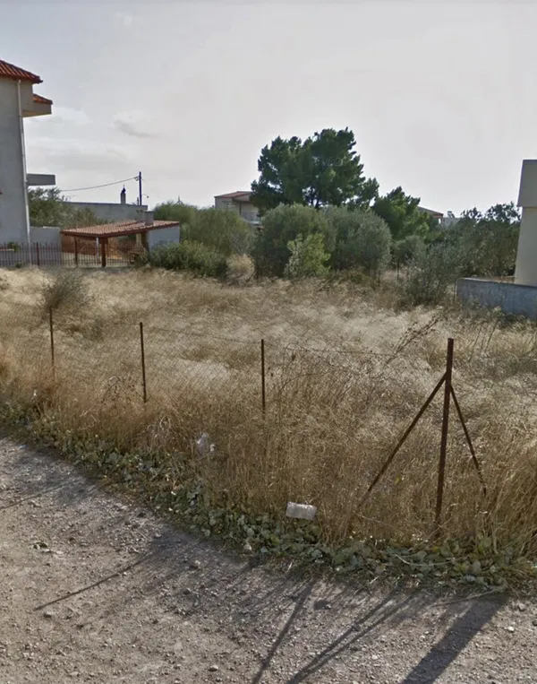 Seafront 2,560 m² Land for Sale in Artemida, Athens Eastern Suburbs — photo 2
