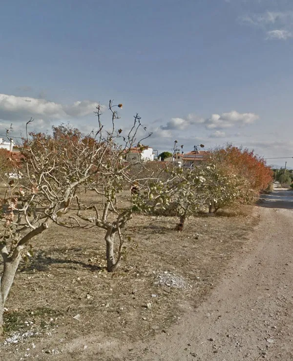 Seafront 2,560 m² Land for Sale in Artemida, Athens Eastern Suburbs — photo 3