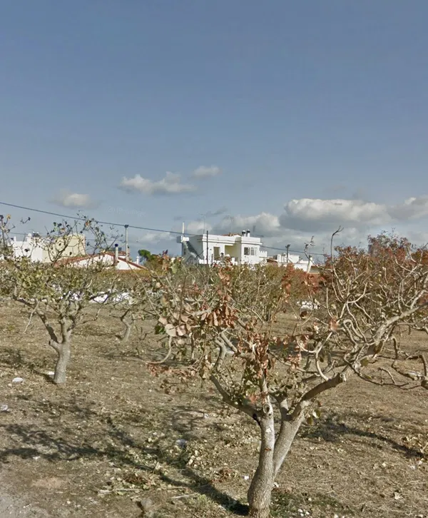 Seafront 2,560 m² Land for Sale in Artemida, Athens Eastern Suburbs — photo 5